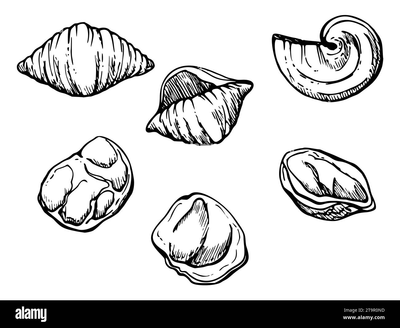 Dibujado a mano ilustración de tinta vectorial. Tipos de pasta Cocina