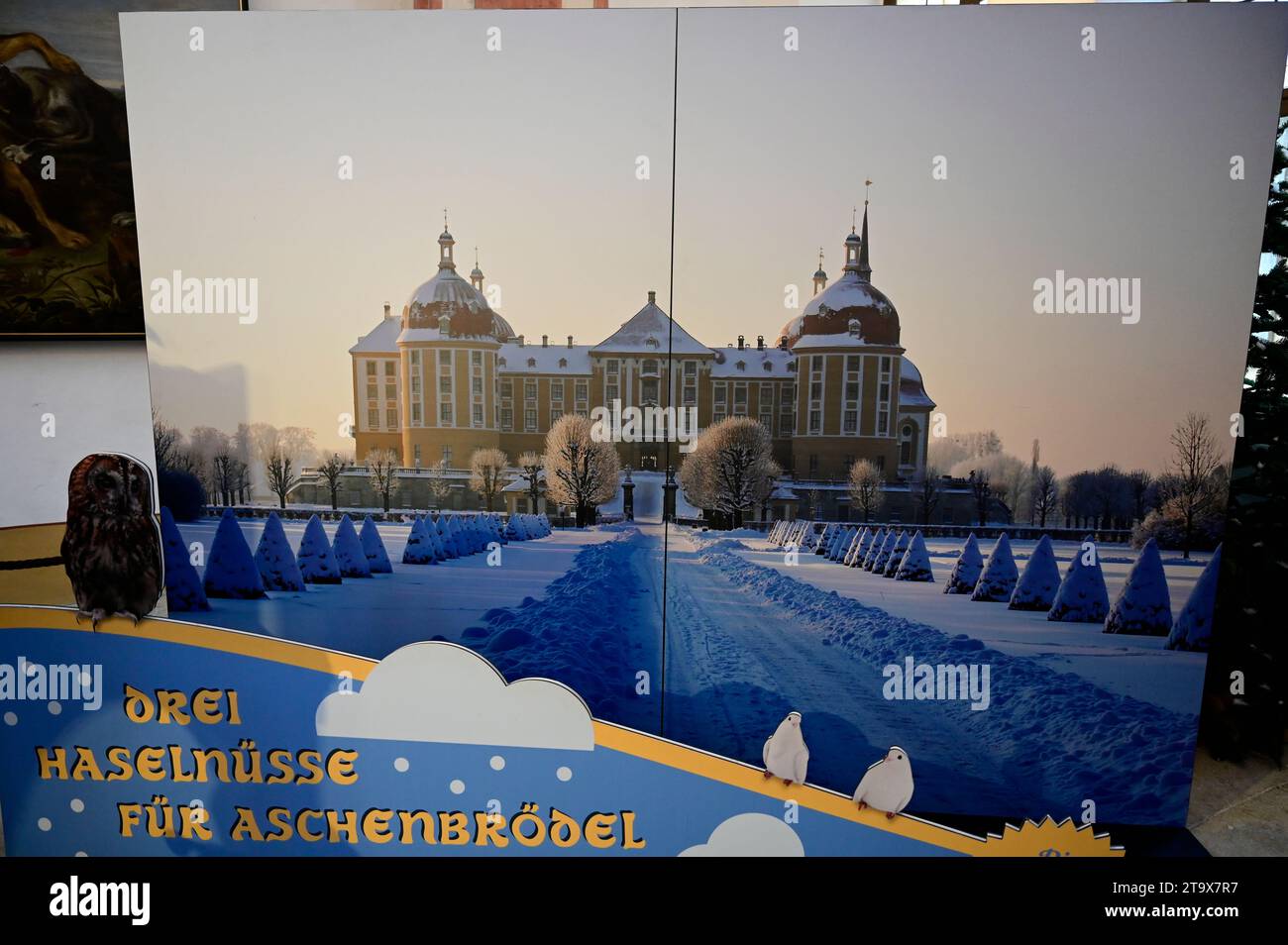 Ausstellung anlässlich des 50. Filmjubiläums des Kultstreifens 
