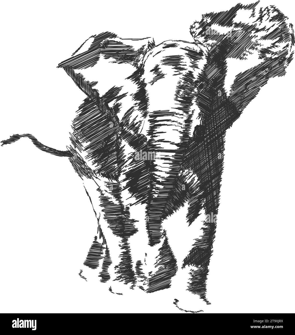 Gran elefante escala de grises ilustración vectorial Ilustración del Vector