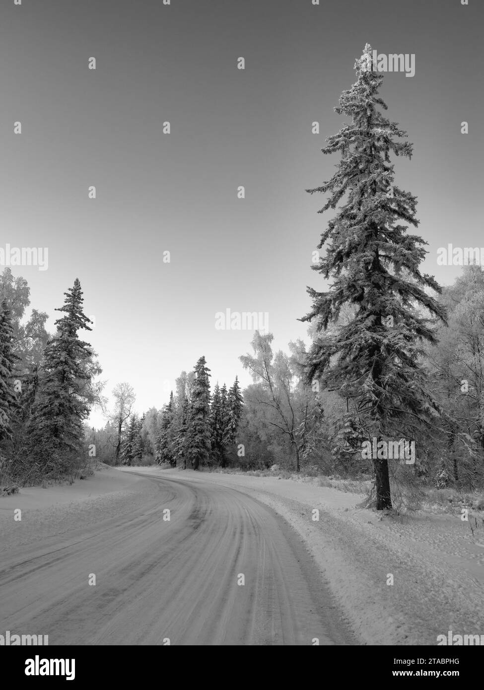 Carretera en invierno, montañas Chugach, Alaska Foto de stock