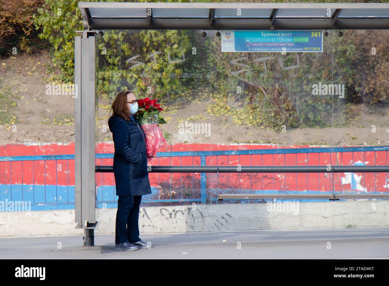 Belgrado, Serbia - 02 de diciembre de 2020: Una mujer con máscara facial esperando el transporte público en la parada de autobús mientras sostiene la planta de Poinsettia, en invierno Foto de stock