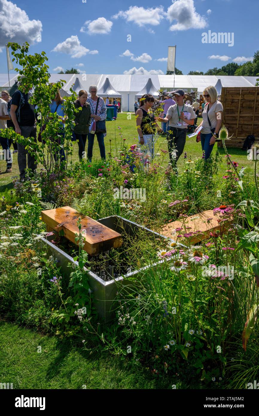 Entrada a concurso de jardín de terraza urbana Elements (perennes herbáceas, banco bajo a medida) - RHS Tatton Park Flower Show 2023, Cheshire, Inglaterra, Reino Unido. Foto de stock