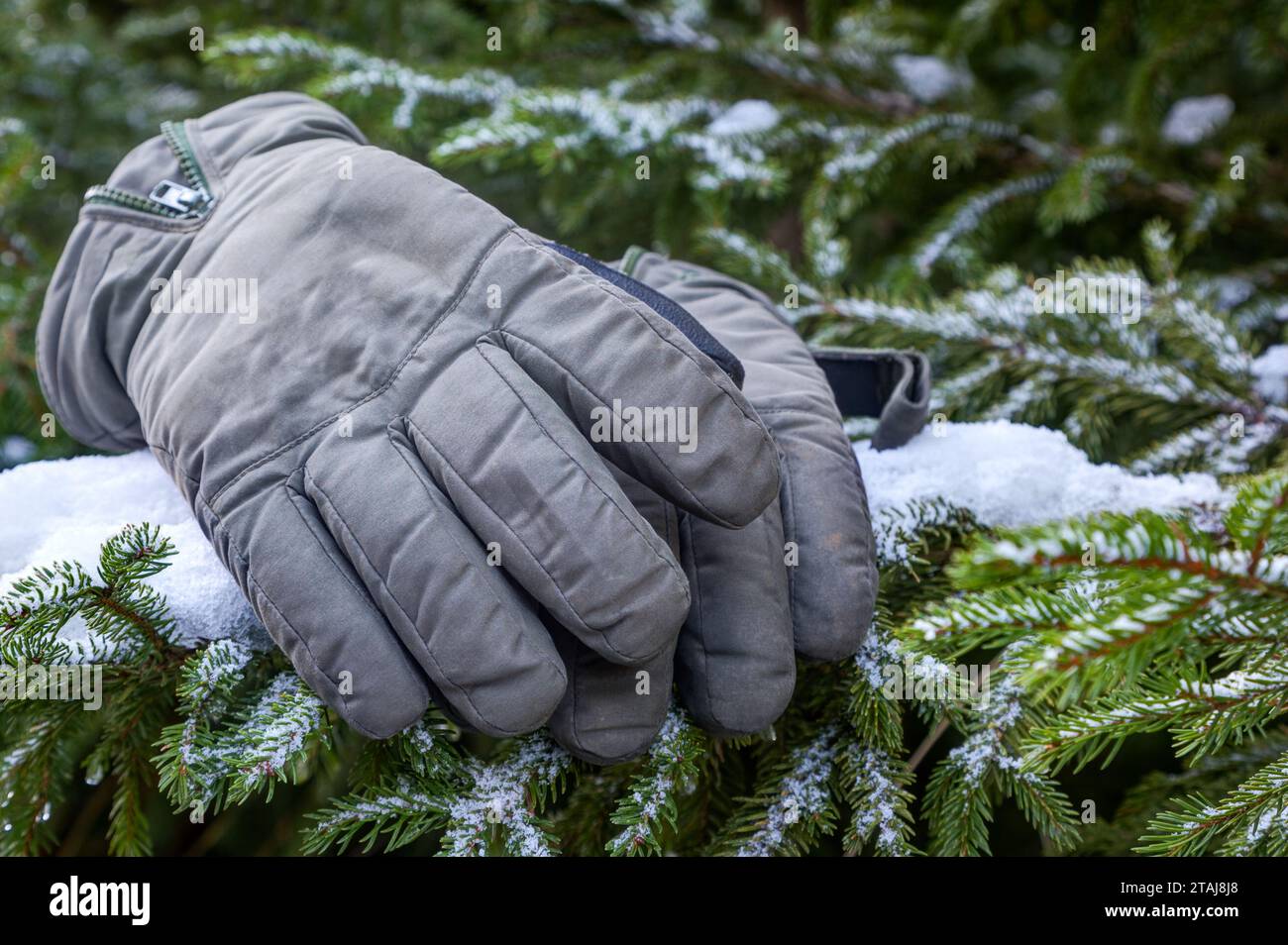Gorro y guantes de invierno. Mujer vistiendo un gorro de punto y guantes  sin dedos para mantener el calor en clima frío Fotografía de stock - Alamy