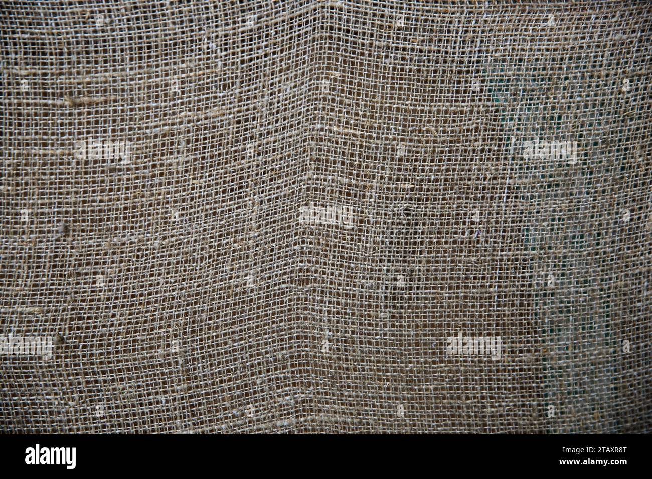 Fondo de textura de tela de arpillera o arpillera.