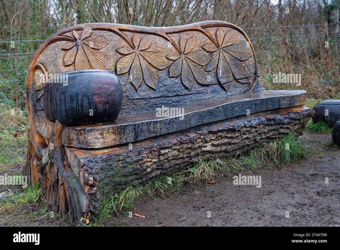 Banco de madera tallada en castaño de caballo por Andy O’Neill, parte del sendero de esculturas en Stoke Park, Bristol, Reino Unido, enero de 2023. Foto de stock