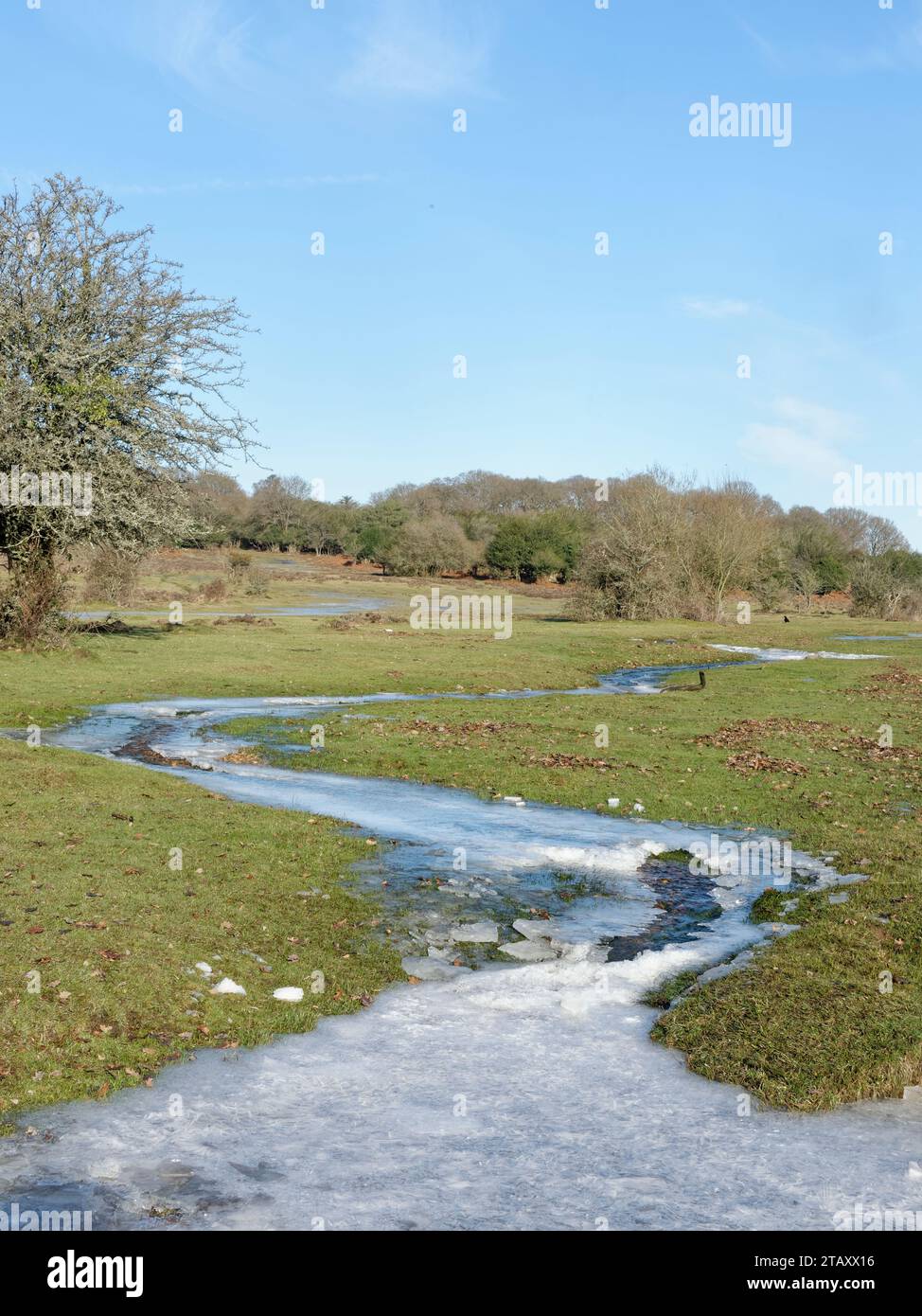 Corriente congelada a través de brezales después de fuertes lluvias seguidas por un chorro de frío, cerca de Fritham, New Forest, Hampshire, Reino Unido, enero de 2023. Foto de stock