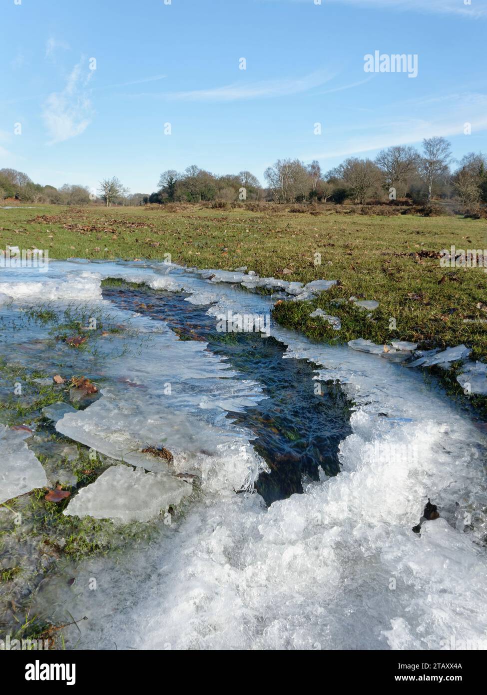 Corriente congelada a través de brezales después de fuertes lluvias seguidas por un chorro de frío, cerca de Fritham, New Forest, Hampshire, Reino Unido, enero de 2023. Foto de stock