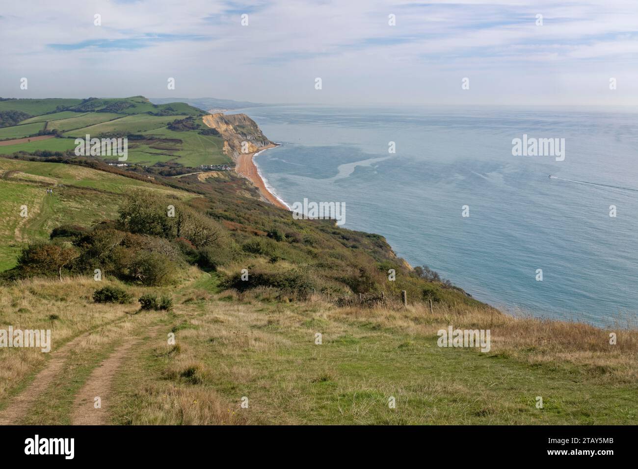 Vista general de Seatown y su playa desde el camino de la costa hasta Golden Cap, Dorset, Reino Unido, octubre de 2023. Foto de stock
