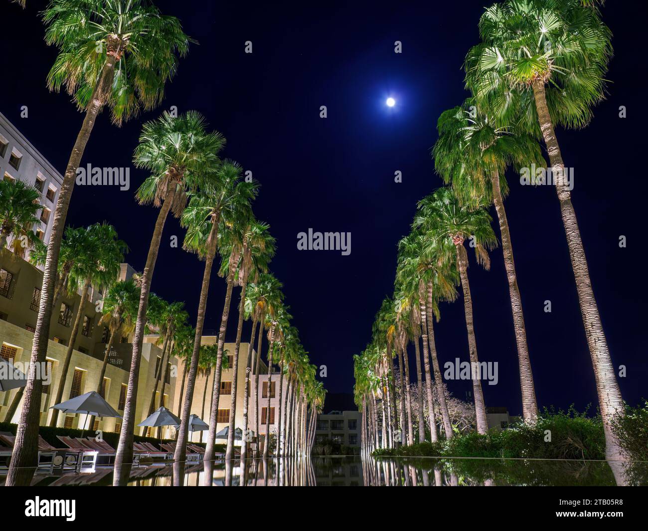 Noche en el Kempinski Hotel Ishtar, un complejo de lujo de 5 estrellas junto al Mar Muerto inspirado en los Jardines Colgantes de Babilonia, Jordania. Foto de stock