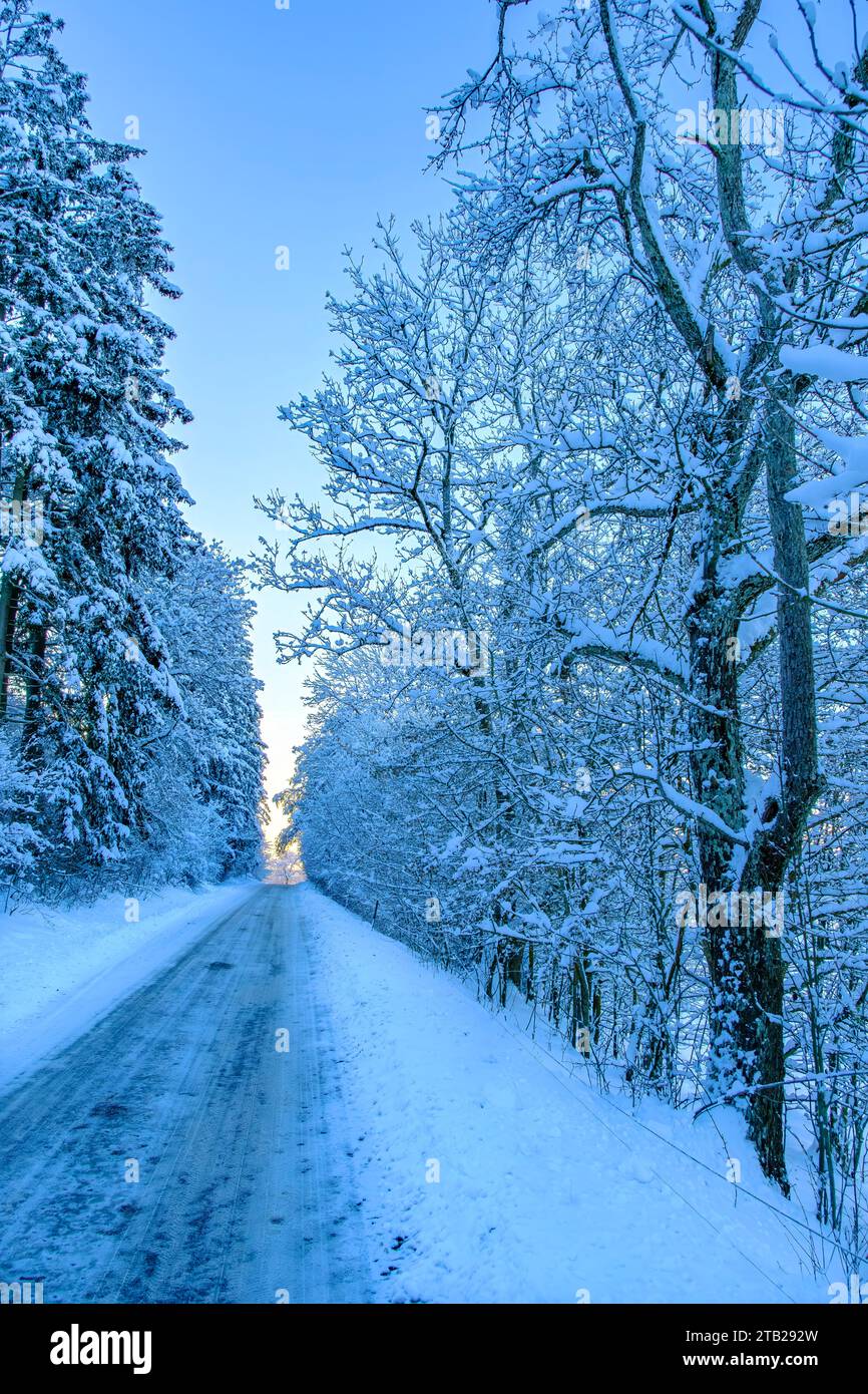Luz al final de la carretera, carretera rural cubierta de nieve a través del bosque después del inicio del invierno en el Alba de Suabia, Munsingen, Alemania. Foto de stock