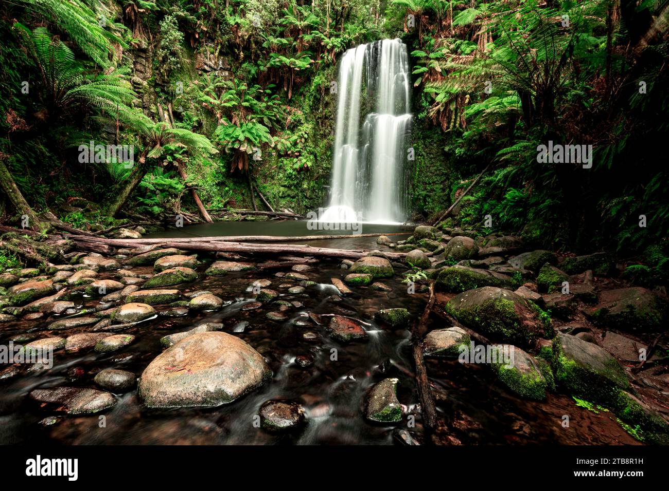 Las cataratas Beauchamp están bien escondidas en la selva tropical del Parque Nacional Great Otway. Foto de stock
