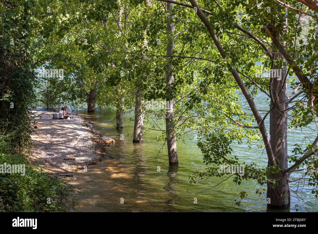 Camino de espinas fotografías e imágenes de alta resolución - Alamy