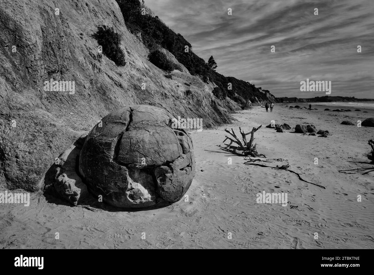 Viaje por carretera alrededor de la Isla Sur de Nueva Zelanda. Moeraki Boulders Beach (oficialmente Moeraki Boulders / Kaihinaki) son inusualmente grandes bould esférico Foto de stock