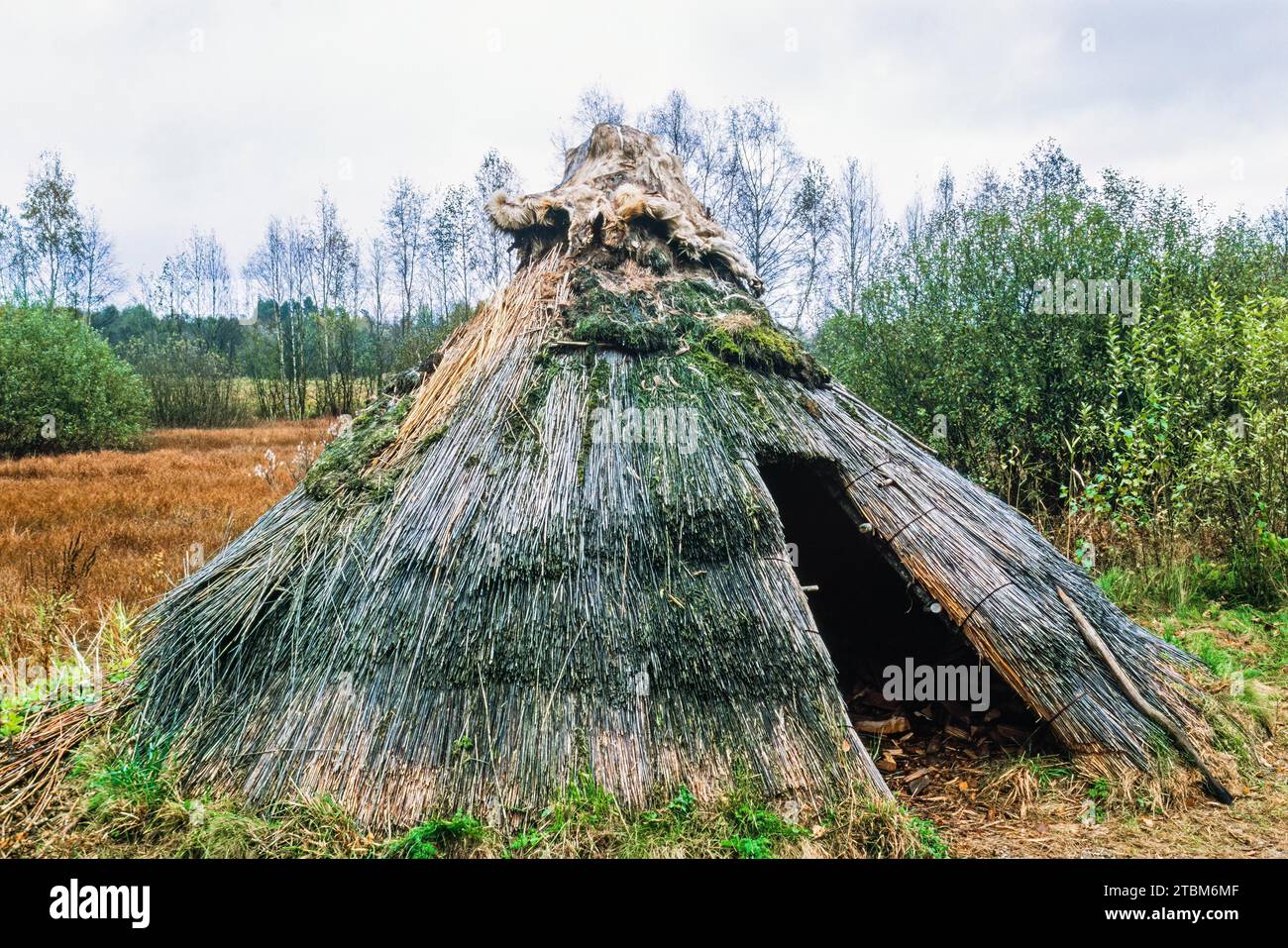 Reconstrucción de una cabaña de la Edad de Piedra hecha de cañas en un humedal, Suecia Foto de stock