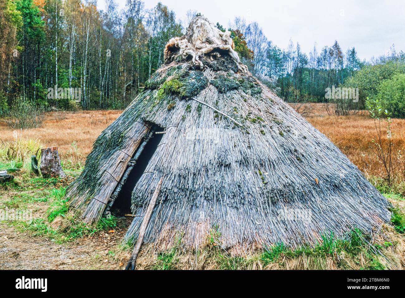 Reconstrucción de una cabaña de la Edad de Piedra hecha de cañas por un pantano, Suecia Foto de stock