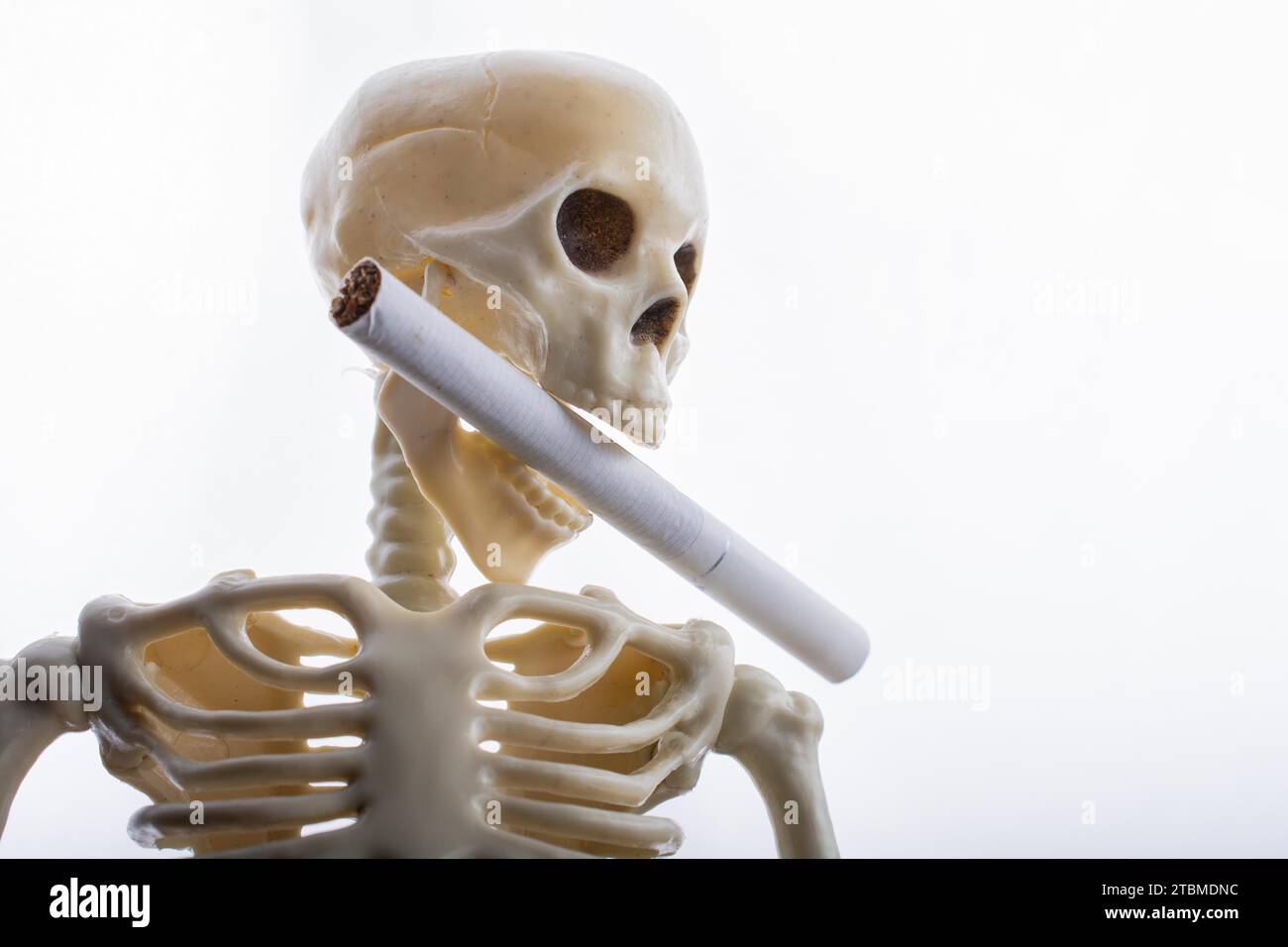 Esqueleto humano con cigarrillo. ¡El Día Mundial Sin Tabaco deja de fumar o deja de fumar! Foto de stock