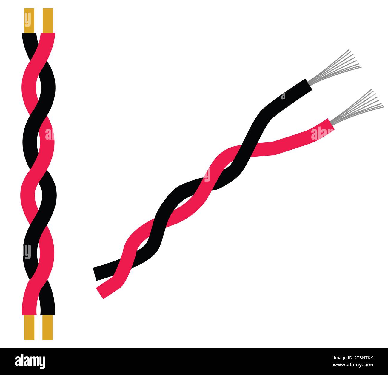 Flexible de cable eléctrico de tres hilos aislado sobre fondo blanco. Cable  multifilar de cobre con aislamiento de color. Close-up de la sección  transversal. P curvo Imagen Vector de stock - Alamy