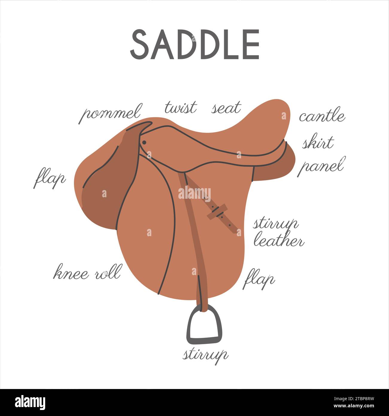 Diferentes partes de caballo Inglés Saddle. Banner infográfico con nombres detallados. Tack ecuestre. Cartel educativo informativo de deportes equinos. Vector Ilustración del Vector