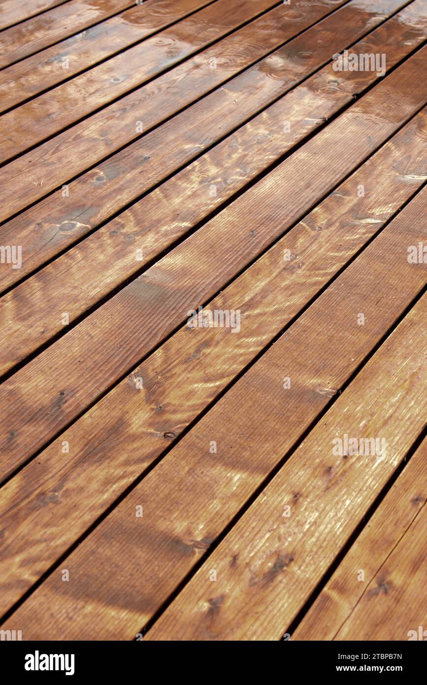 Terraza empapada en la lluvia, con muchos nudos y granos Foto de stock
