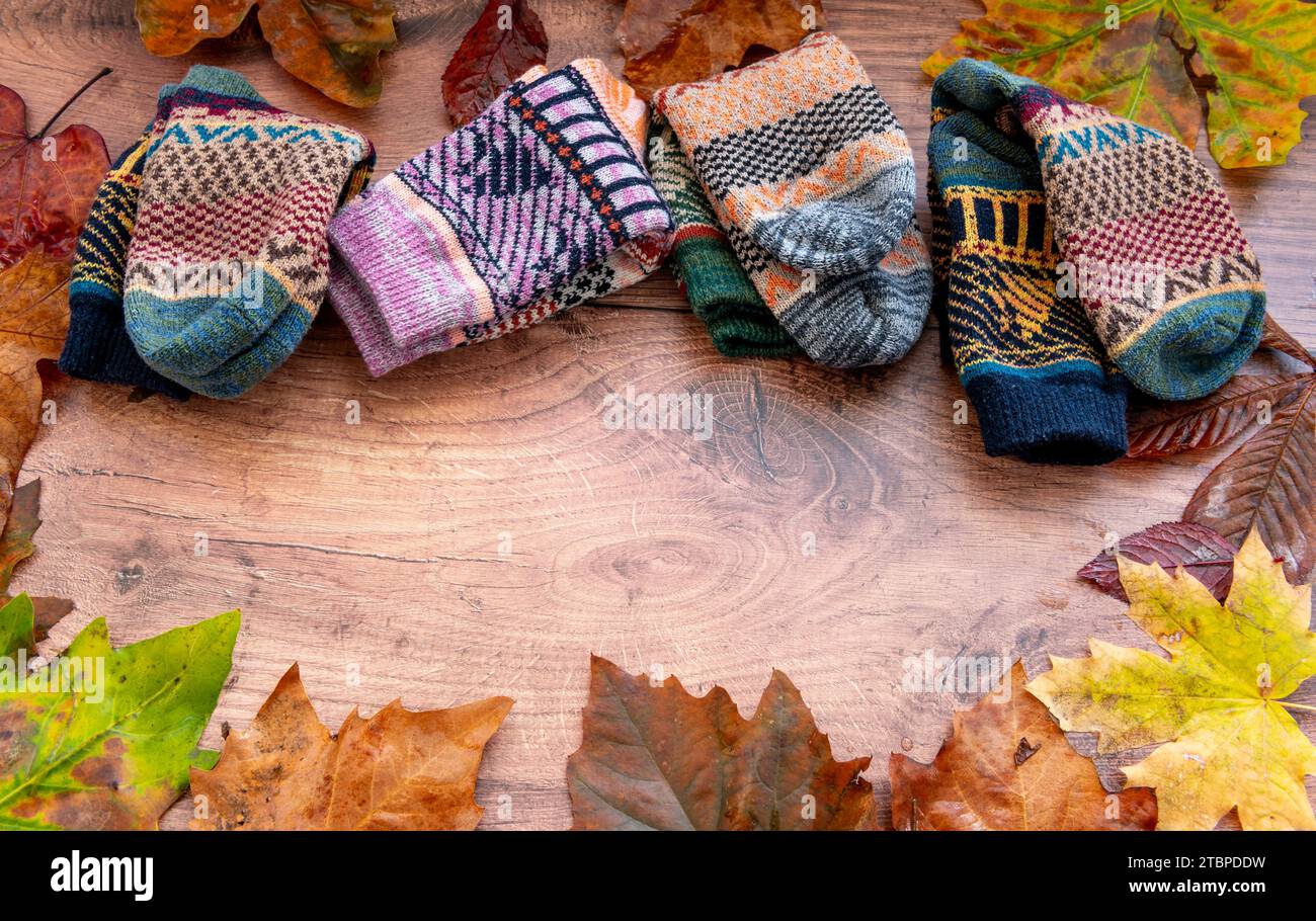 Pares doblados de calcetines de lana de invierno coloridos dentro de un círculo de hojas caídas sobre un fondo de madera. Foto de stock