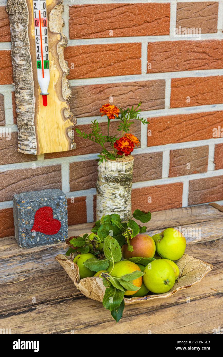 Jardines comestibles: pasteles decorados con flores y naturaleza muerta