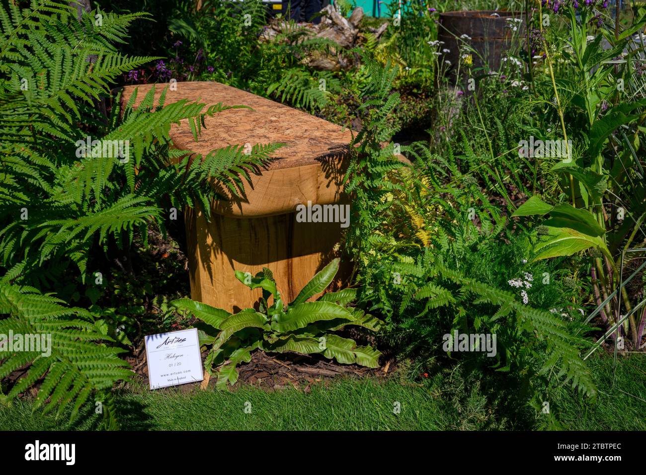 Elementos de terraza urbana jardín de entrada de competición (muebles, plantas de bosques, hojas, follaje) - RHS Tatton Park Flower Show 2023, Cheshire Inglaterra Reino Unido. Foto de stock