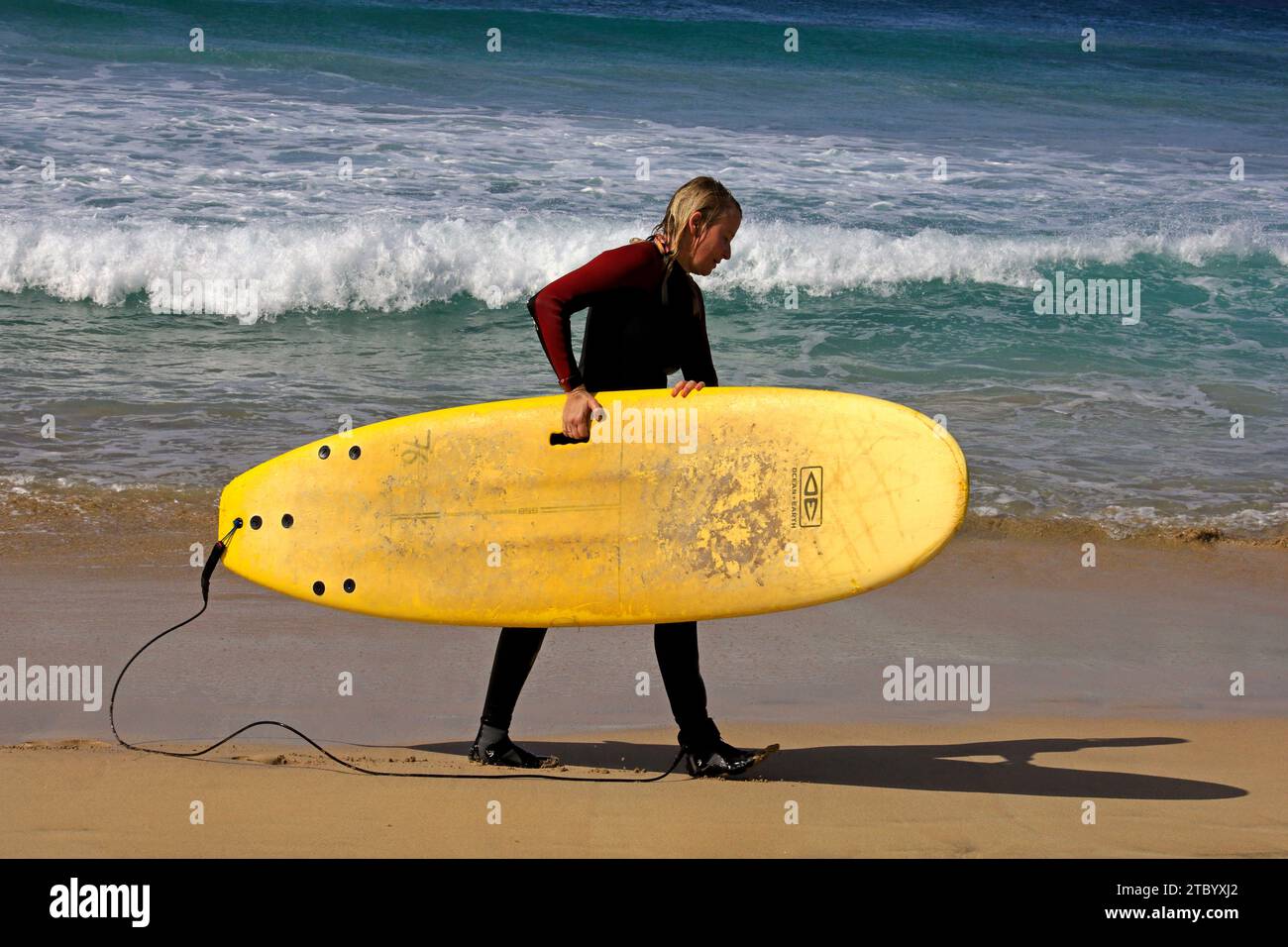 Mujer surfista llevando una tabla de surf a lo largo de la playa, Fuerteventura, Islas Canarias