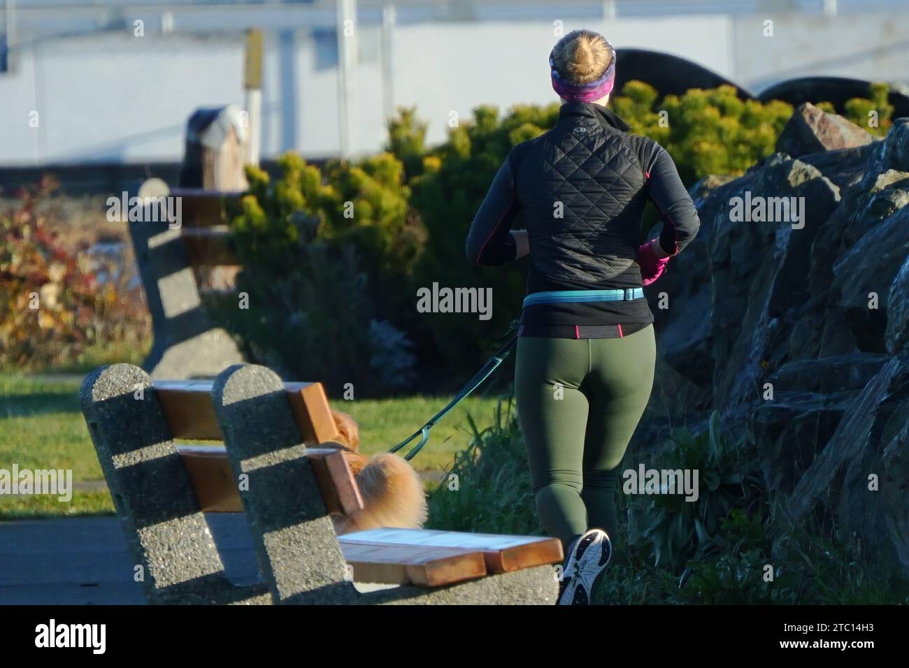 Mujer que camina perro en el parque frente al mar Foto de stock