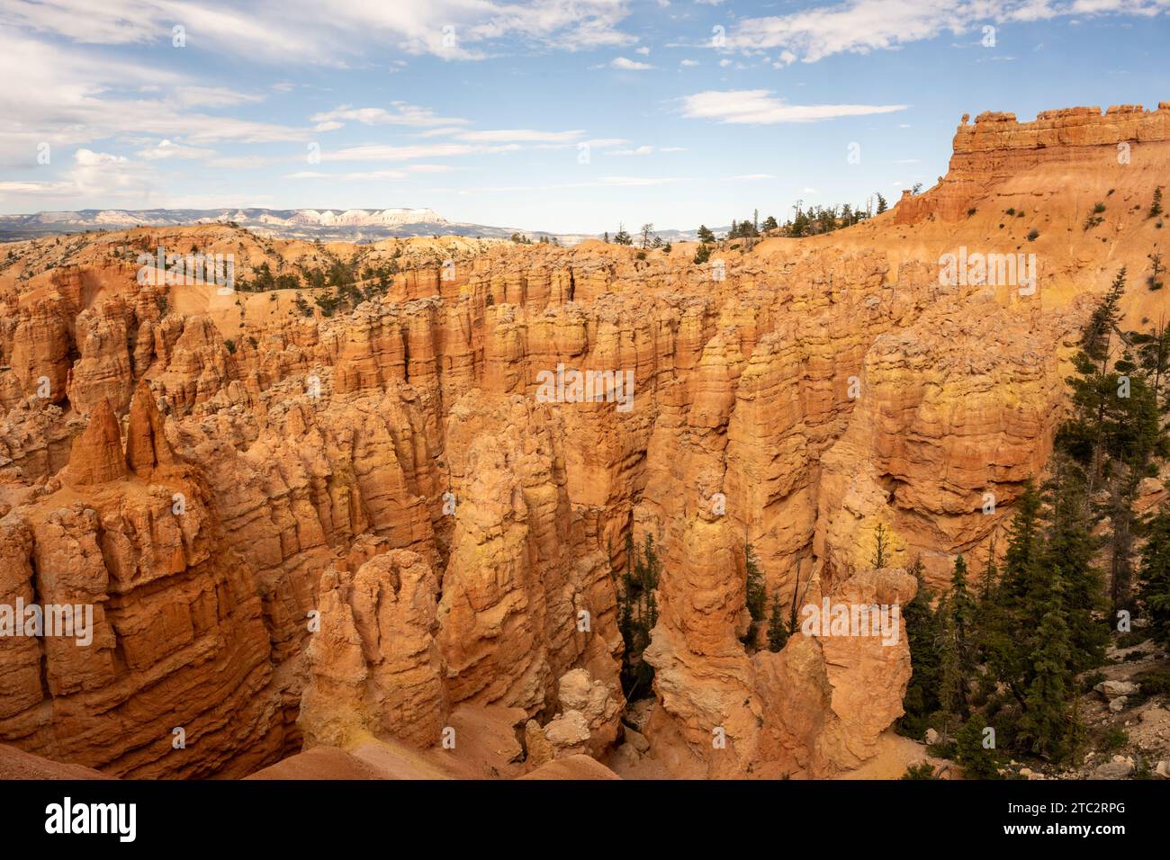 Mirando hacia abajo en los gruesos Hoodoos en el Parque Nacional Bryce Canyon Foto de stock