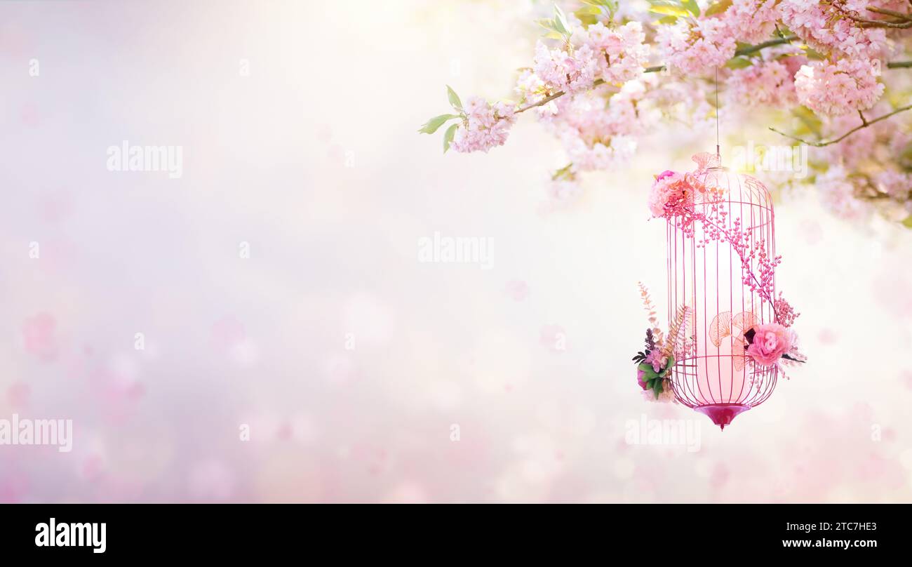 Celebración del año nuevo chino en Asia. Linterna rosa, roja y dorada en el árbol de sakura japonés para la fiesta de año nuevo lunar. Fondo con glitter Foto de stock