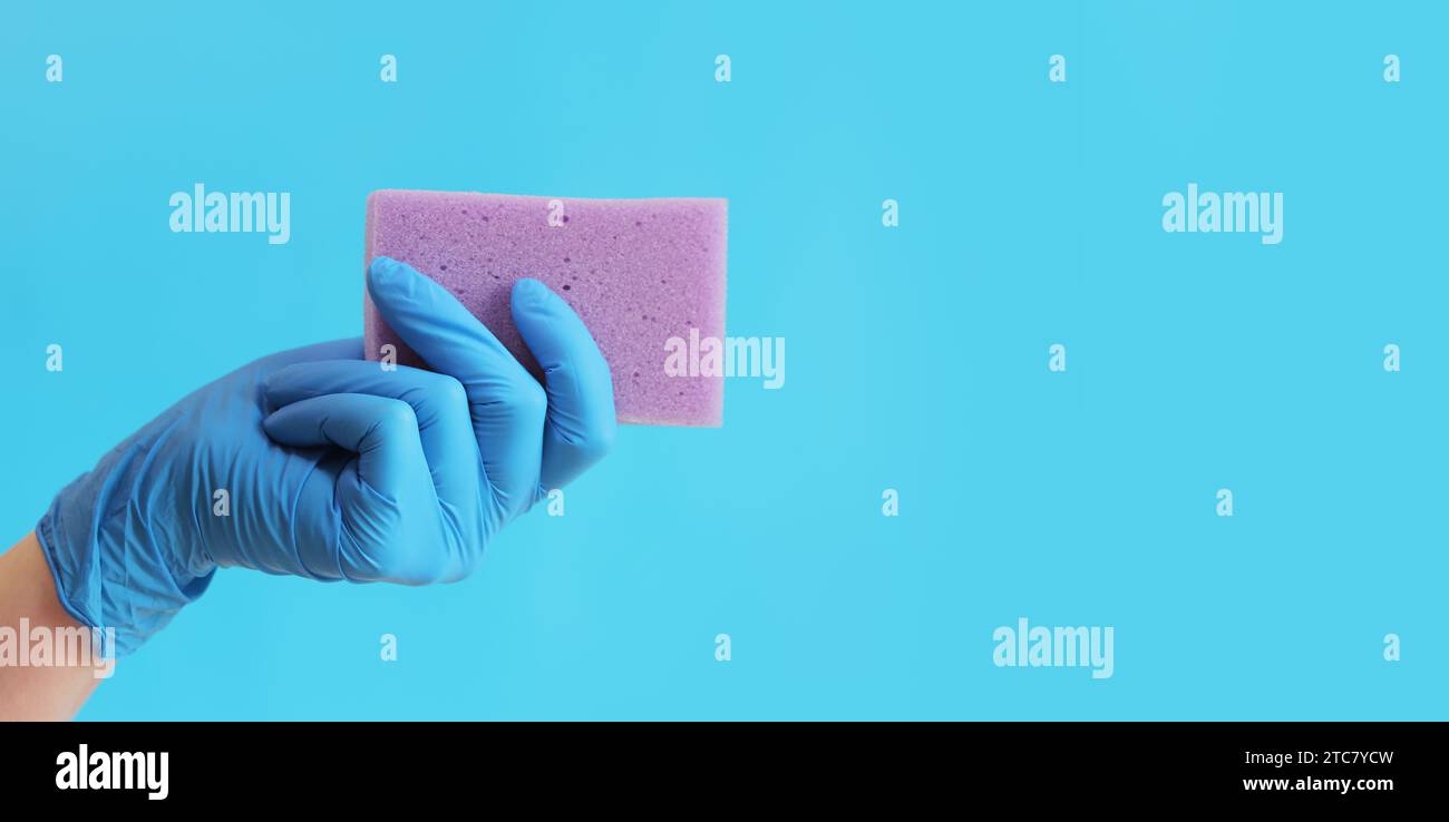 Esponja de lavavajillas púrpura en la mano de una mujer sobre un fondo azul. Una mano en un guante azul de látex sostiene una esponja para la limpieza húmeda. Limpieza profesional. Foto de stock