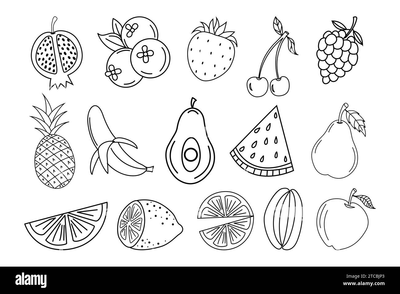 vector de grabado dibujado a mano colección de frutas Ilustración del Vector