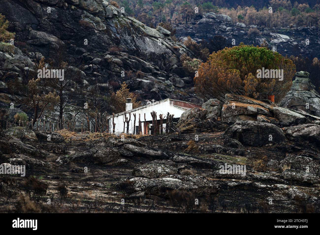 Ávila, 16/09/2021. Reportaje de las localidades de Sotalbo y Solosancho, en la Sierra de los Baldíos, provincia de Ávila, donde se produjo un incendio el mes pasado que quemó 20.000 hectáreas en la zona. Foto: Jaime García. ARCHDC. Crédito: Álbum / Archivo ABC / Jaime García Foto de stock