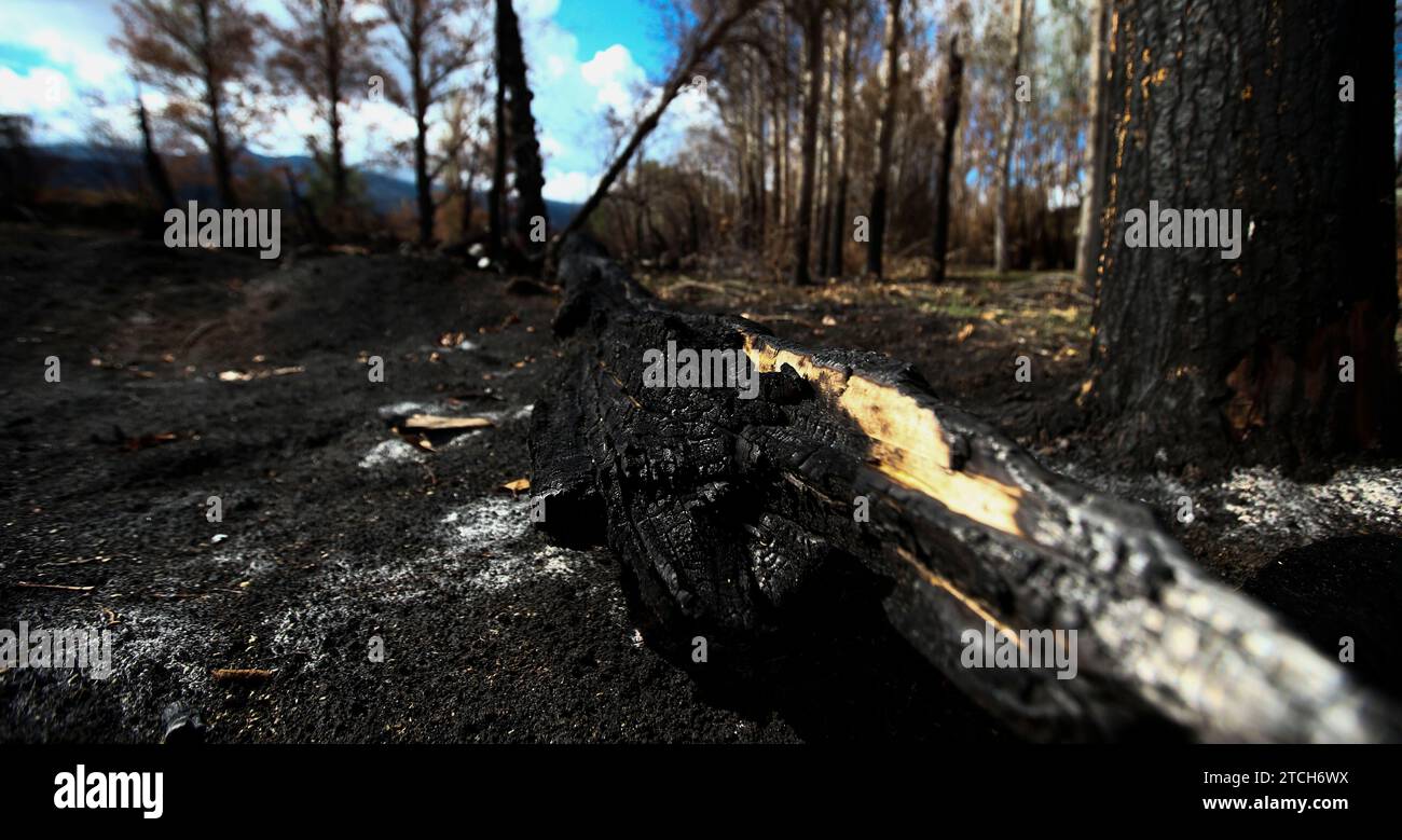 Ávila, 16/09/2021. Reportaje de las localidades de Sotalbo y Solosancho, en la Sierra de los Baldíos, provincia de Ávila, donde se produjo un incendio el mes pasado que quemó 20.000 hectáreas en la zona. Foto: Jaime García. ARCHDC. Crédito: Álbum / Archivo ABC / Jaime García Foto de stock