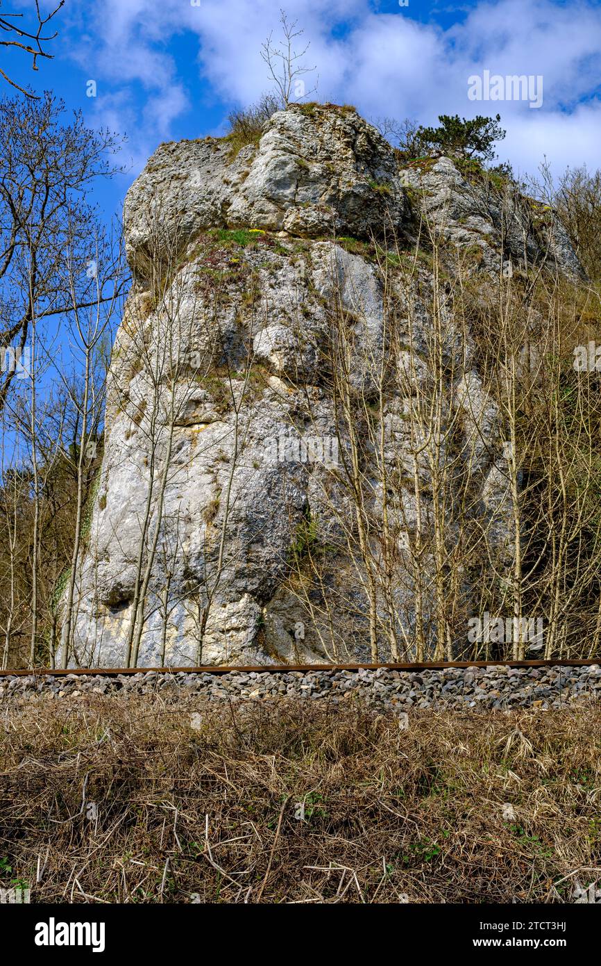 Bahngleise führen unterhalb eines Kalksteinfelsens entlang, bei Lauterach, Munderkingen, Schwäbische Alb, Baden-Württemberg, Deutschland. Foto de stock