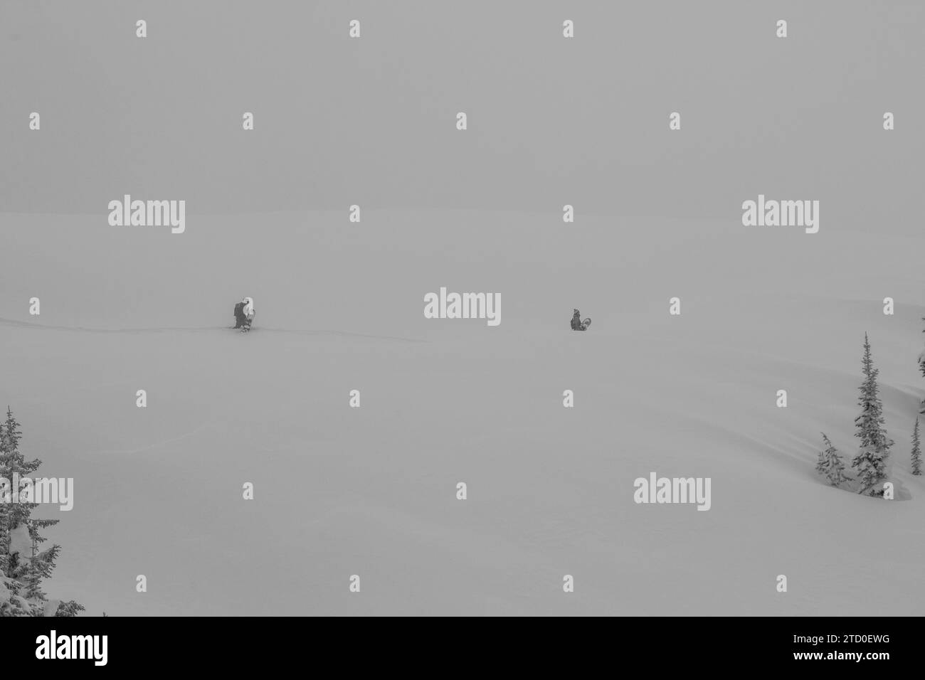 Vista de ángulo alto de personas irreconocibles activas con tablas de snowboard de senderismo en la montaña cubierta de nieve durante el clima frío extremo en Canadá Foto de stock