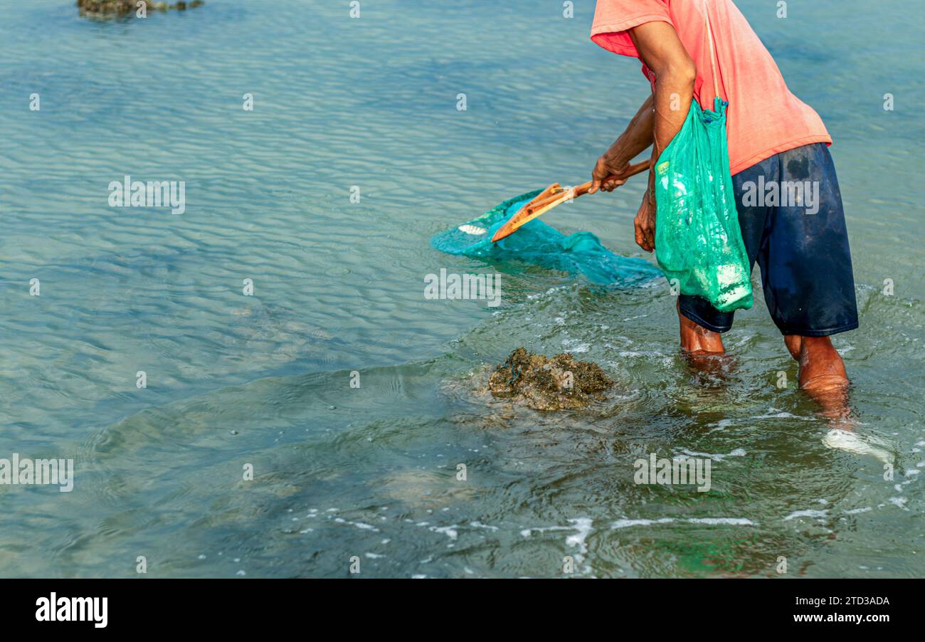 Las personas atrapan peces que flotan en la superficie del agua porque son envenenados por las raíces de la planta de tuba o Derris. problemas ambientales Foto de stock