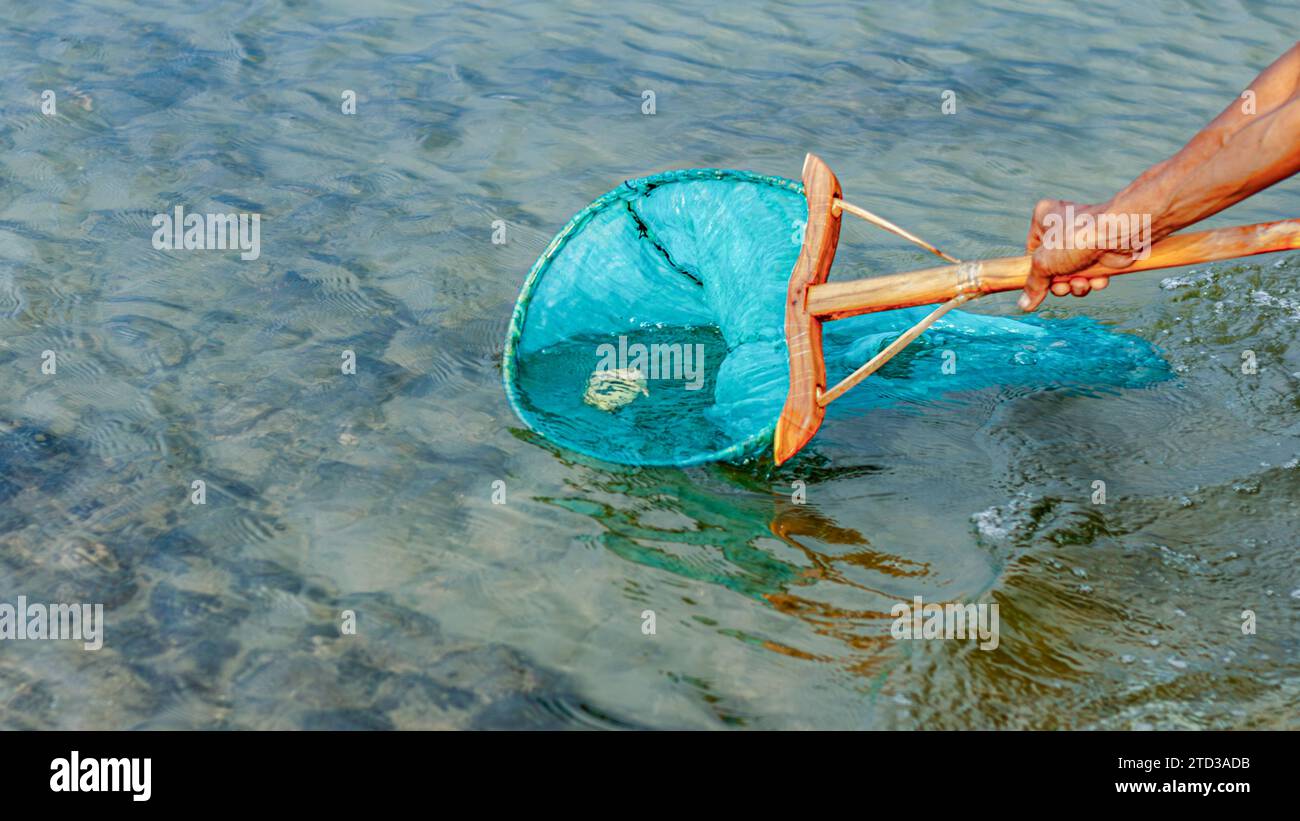 Las personas atrapan peces que flotan en la superficie del agua porque son envenenados por las raíces de la planta de tuba o Derris. problemas ambientales Foto de stock