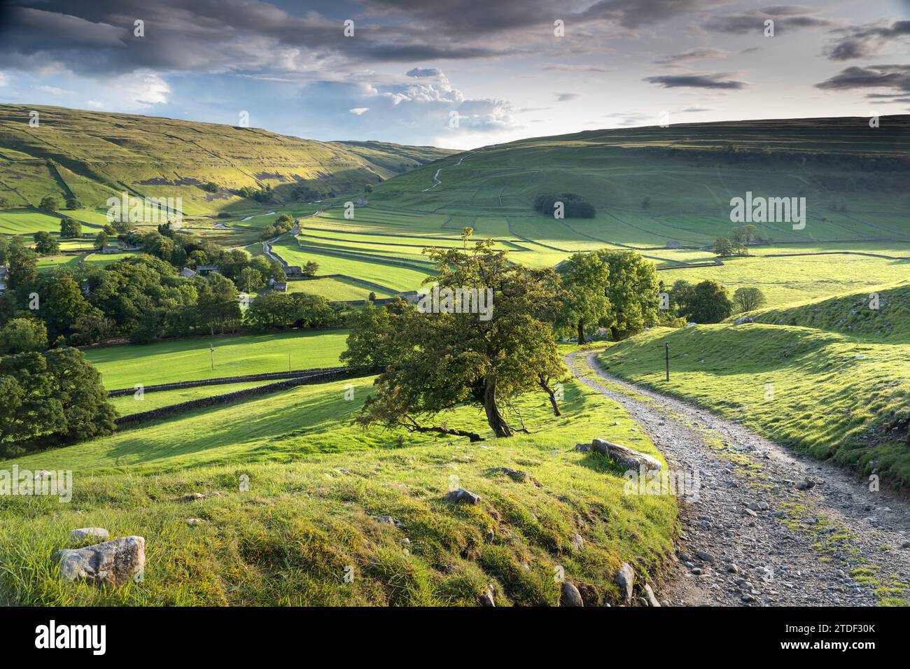 Pueblo de Arncliffe rodeado de muros de piedra seca y campos verdes, Littondale, los valles de Yorkshire, Yorkshire, Inglaterra, Reino Unido, Europa Foto de stock