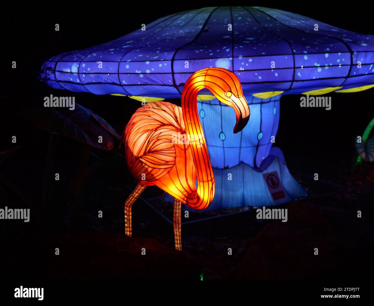 Kansas City, Missouri 14 de diciembre de 2023 Luces de Navidad