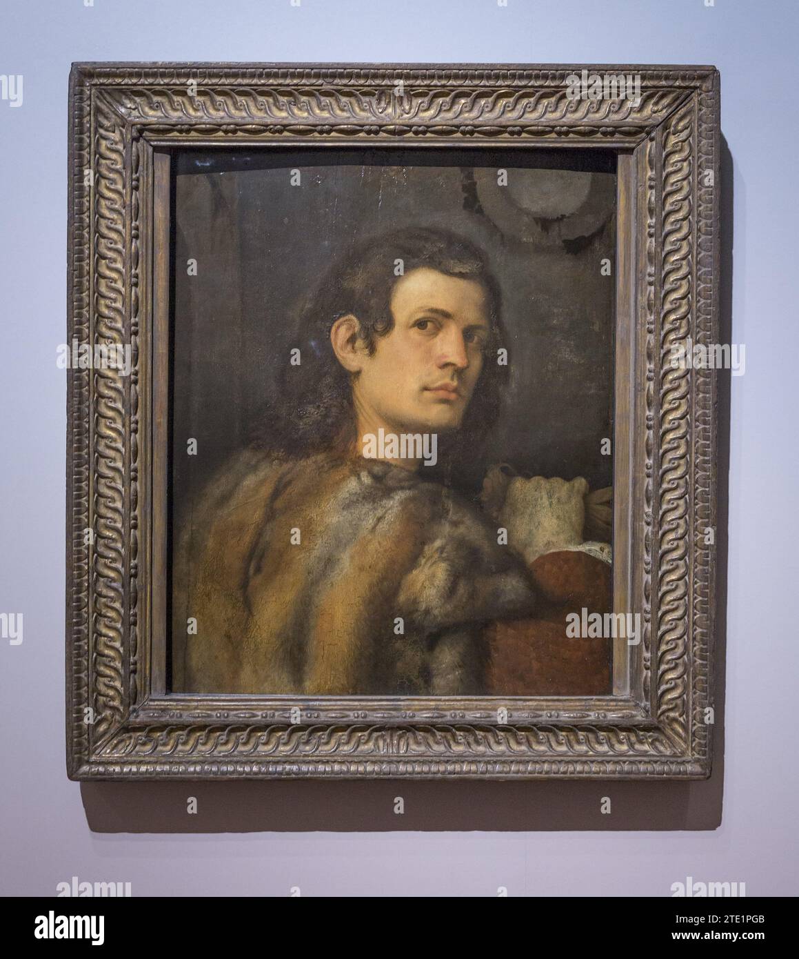Retrato del joven por Giorgione Foto de stock
