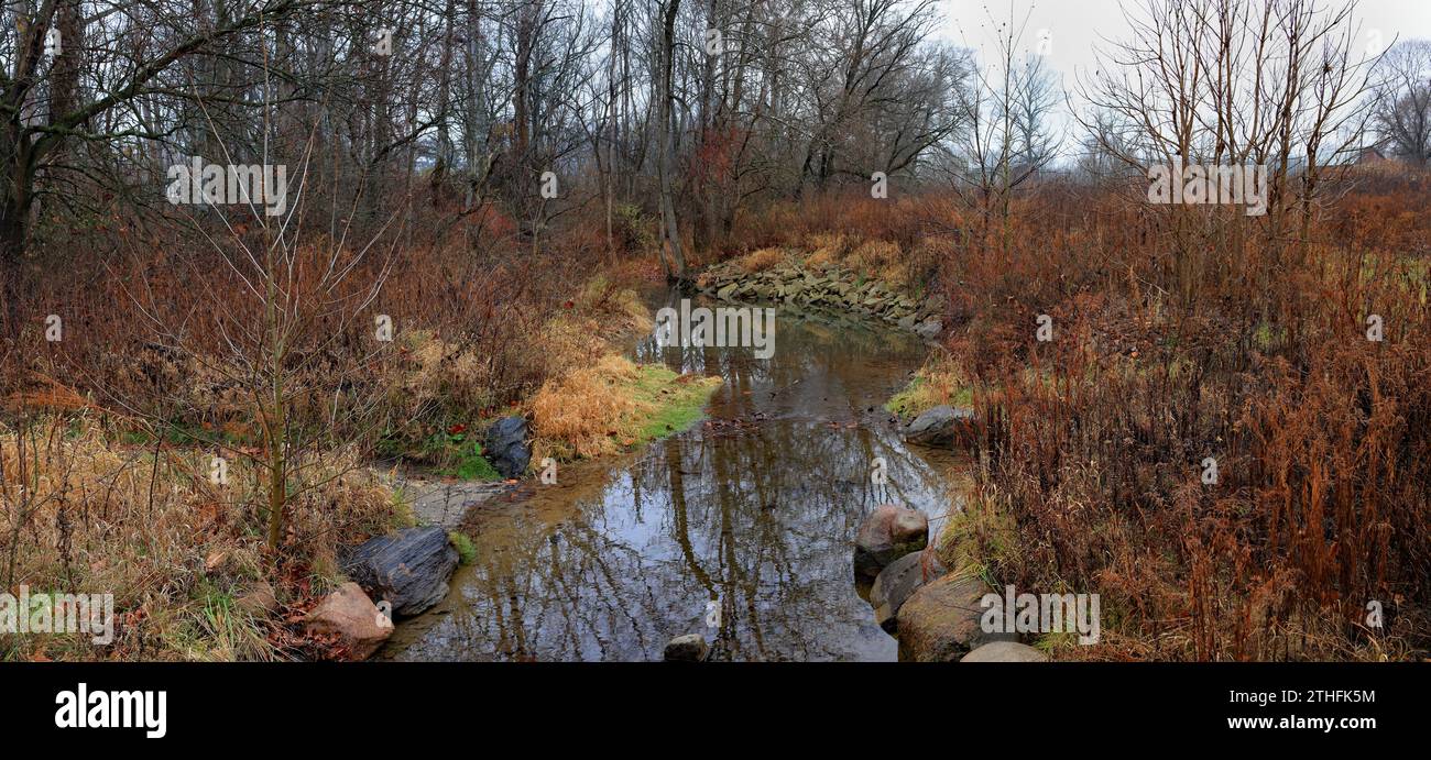 Un arroyo fluye a través de un bosque de otoño tardío, sus bancos adornados con rocas, malas hierbas, hierbas y árboles sin hojas. Foto de stock