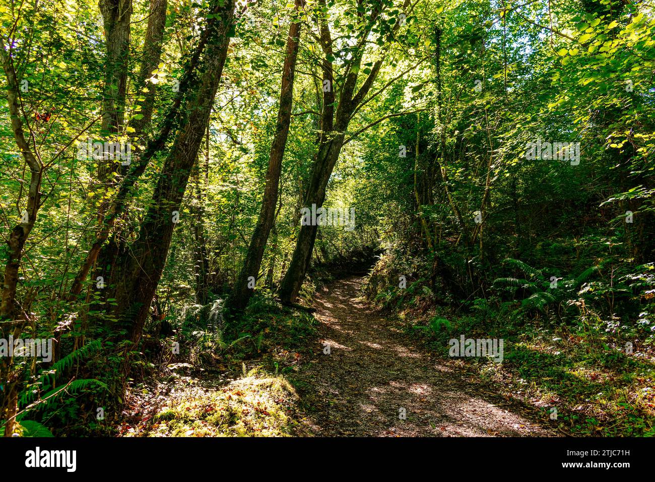 Ruta de las xanas fotografías e imágenes de alta resolución Alamy