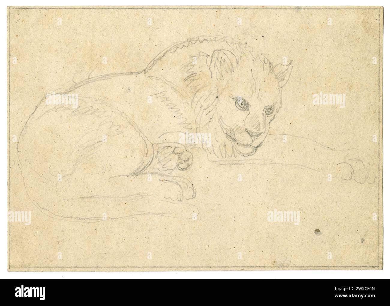 Dibujo a lápiz de un león de la Menagerie en la Torre de Londres Foto de stock