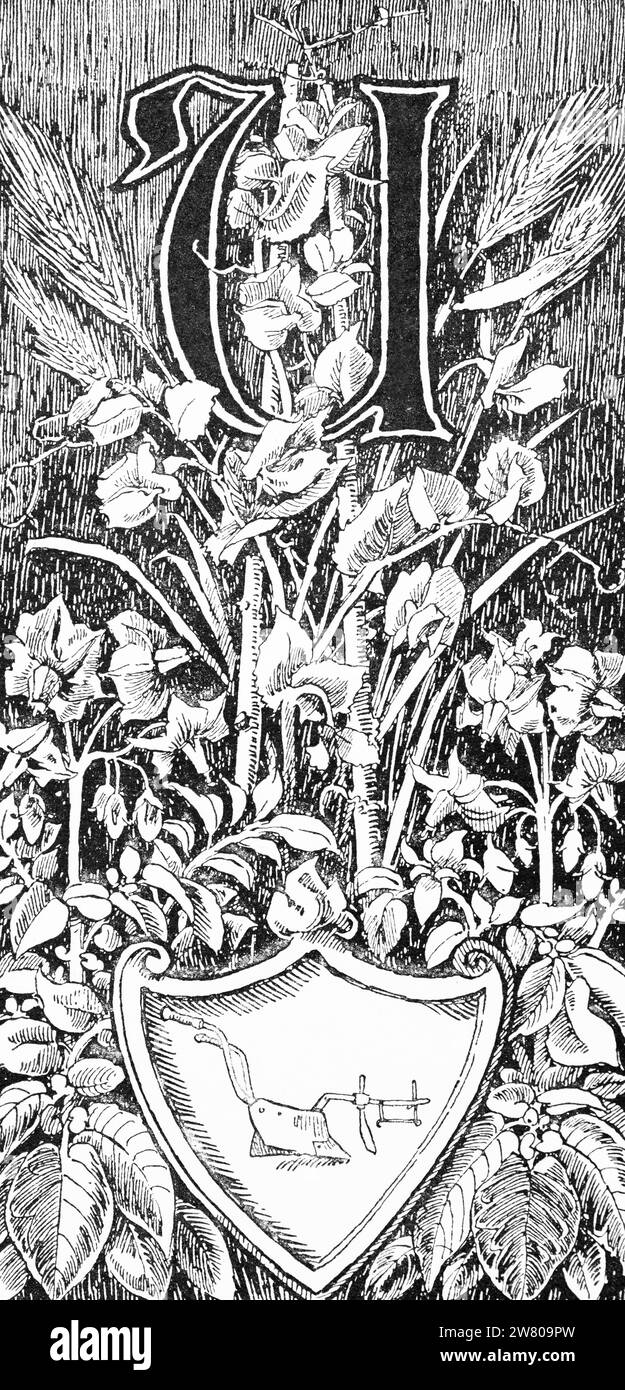 Ilustración introductoria para el capítulo del libro agrícola, Schleswig-Holstein, norte de Alemania, ilustración histrórica 1896 Foto de stock