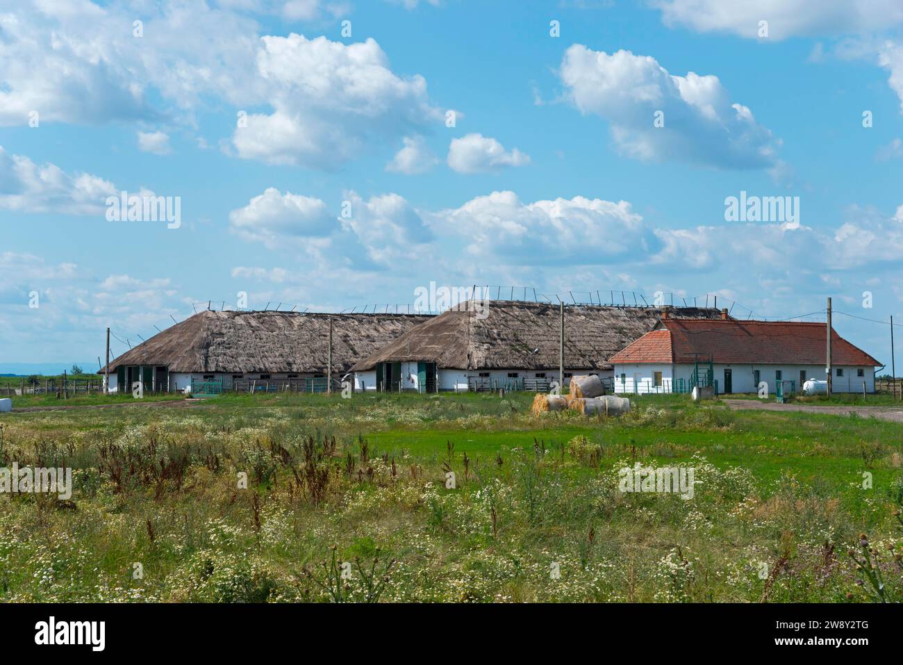 Casa y establos, Kungyoergy, paisaje de puszta y estepa en el Parque Nacional Hortobagy, Parque Hortobagy Nemzeti, Reserva de la Biosfera UNESCO, Hortobagyi Foto de stock