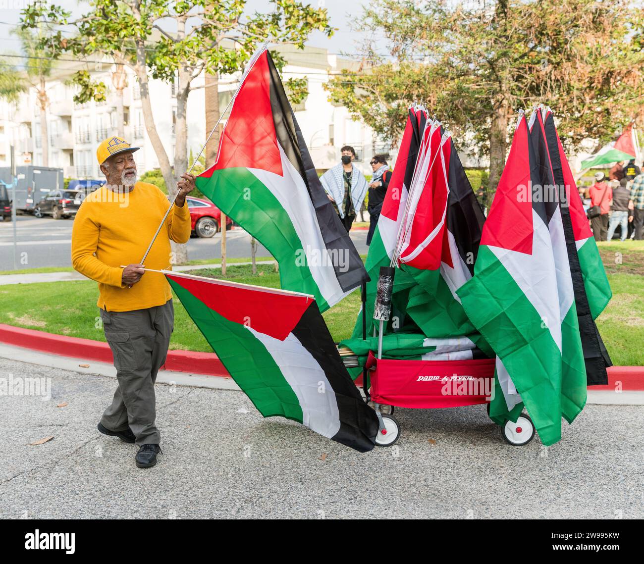 Bandera Palestina  TIENDA SOLIDARIA DAMAS PALESTINAS