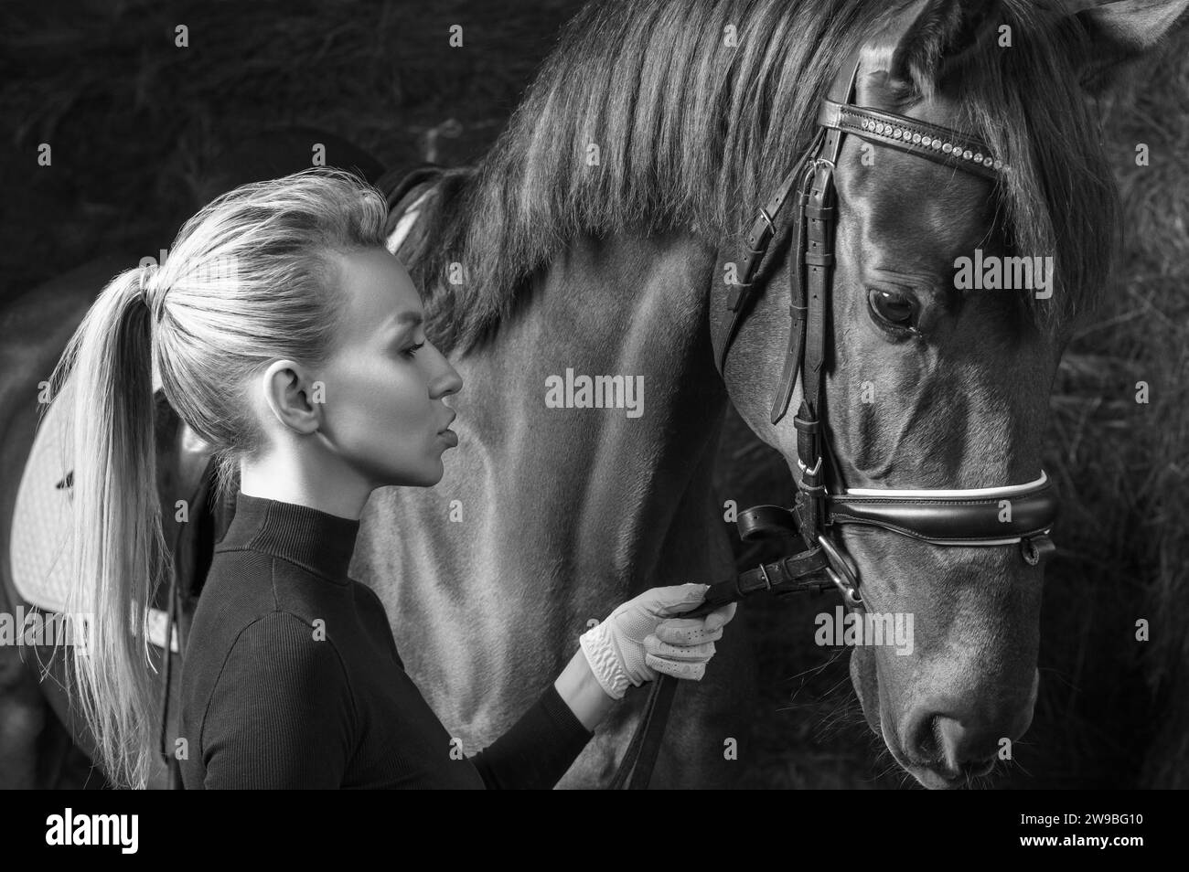 Impresionante rubia posando con un caballo de pura sangre. Concepto de vacaciones en el rancho. Medios mixtos Foto de stock