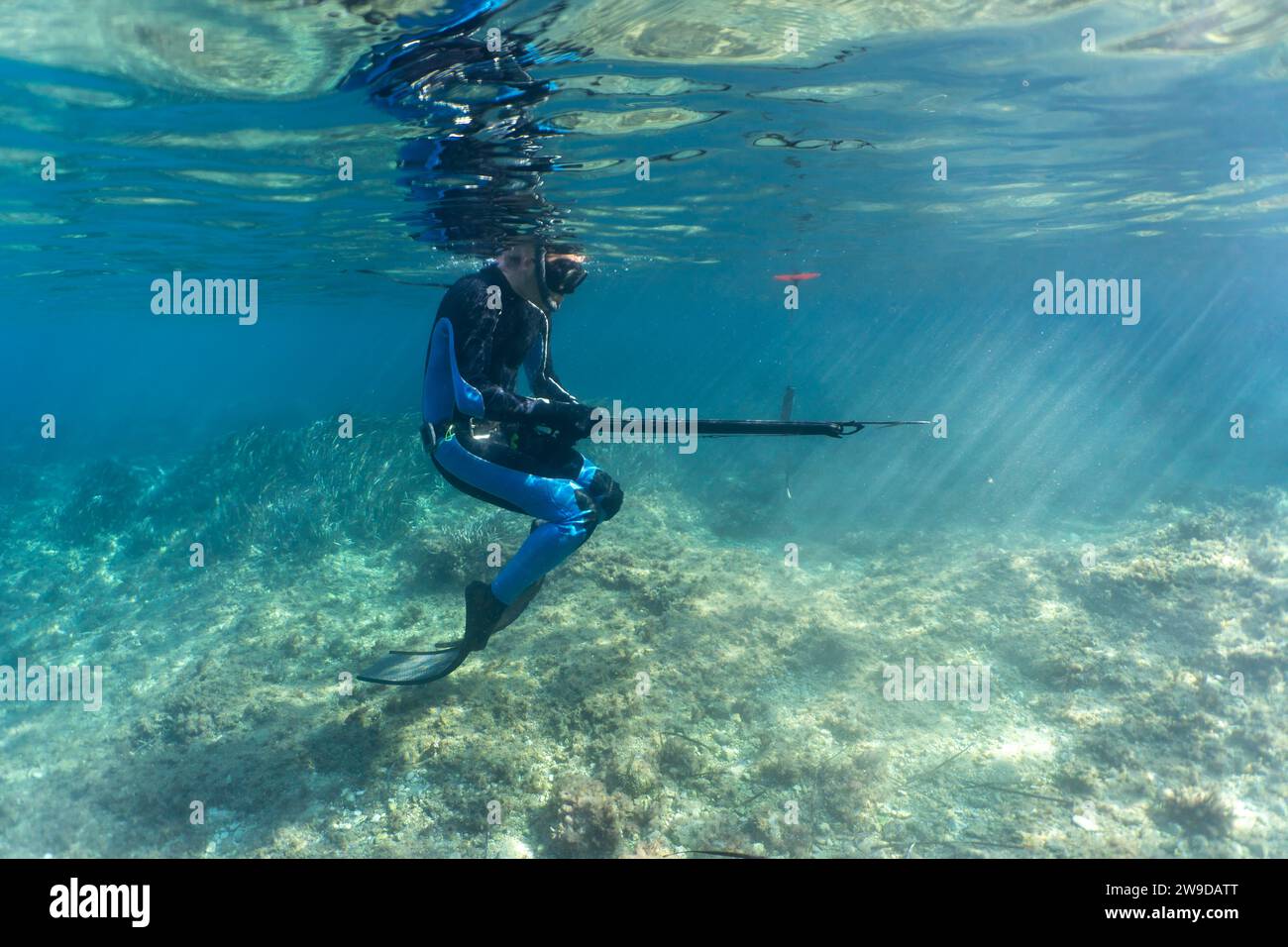 Pesca submarina fotografías e imágenes de alta resolución - Alamy