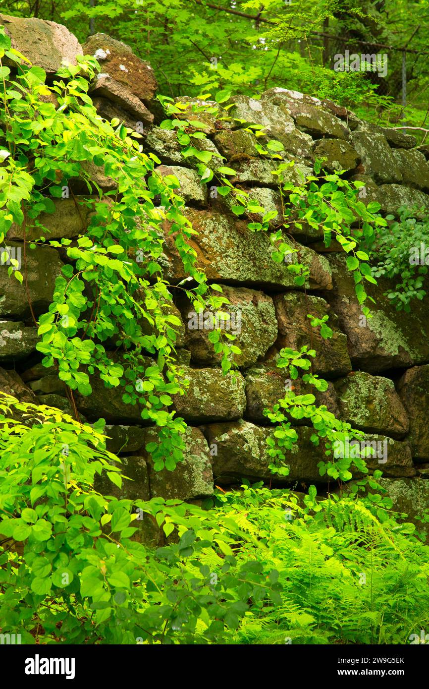 Muro perimetral, antigua prisión New-Gate & mina de cobre preservar arqueológico, Connecticut Foto de stock